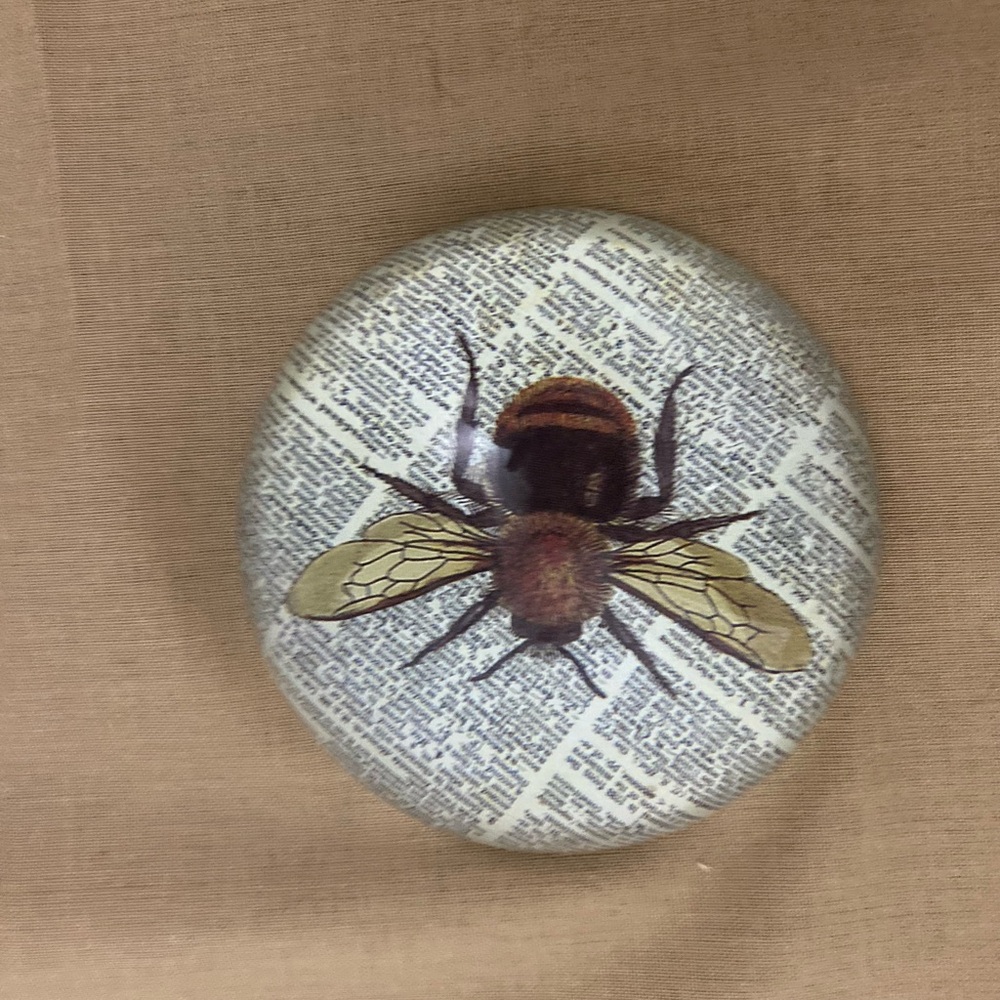 Bumblebee 🐝 Insect Paperweight